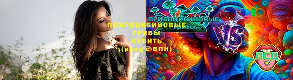 стафф Кулебаки