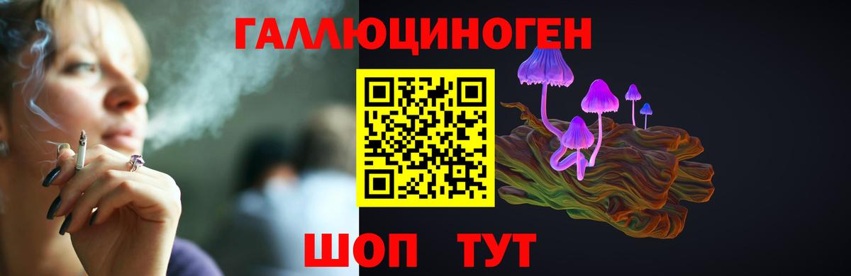 Лесозаводск  Псилоцибиновые грибы прущие грибы  как найти   Вход с VPN  Псилоцибиновые грибы Psilocybe 